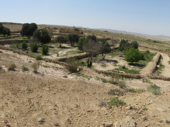 Reste eines byzantinischen Bauernhofs in der Wüste Negev © Ben-Gurion University of the Negev